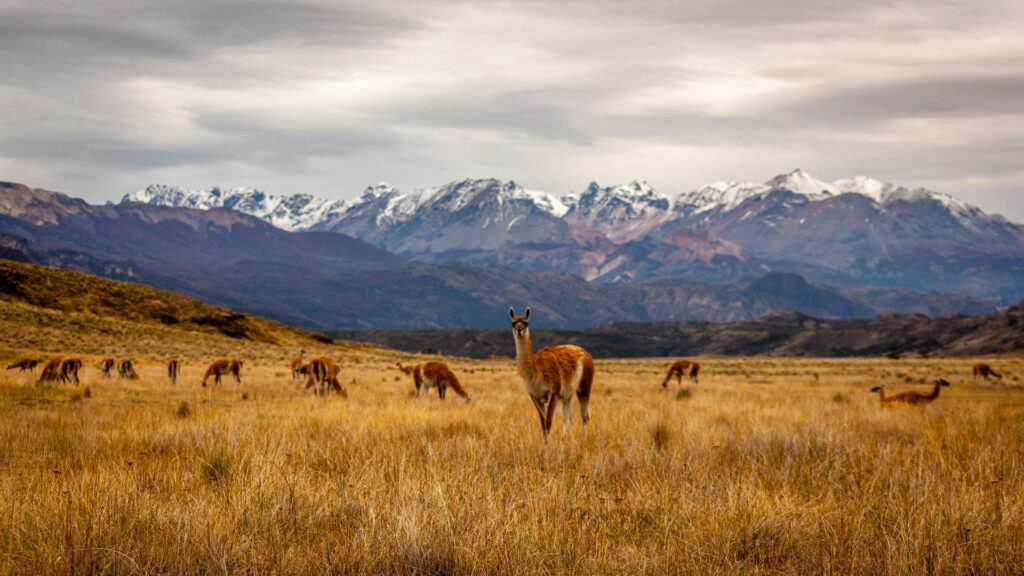 Voyages nature