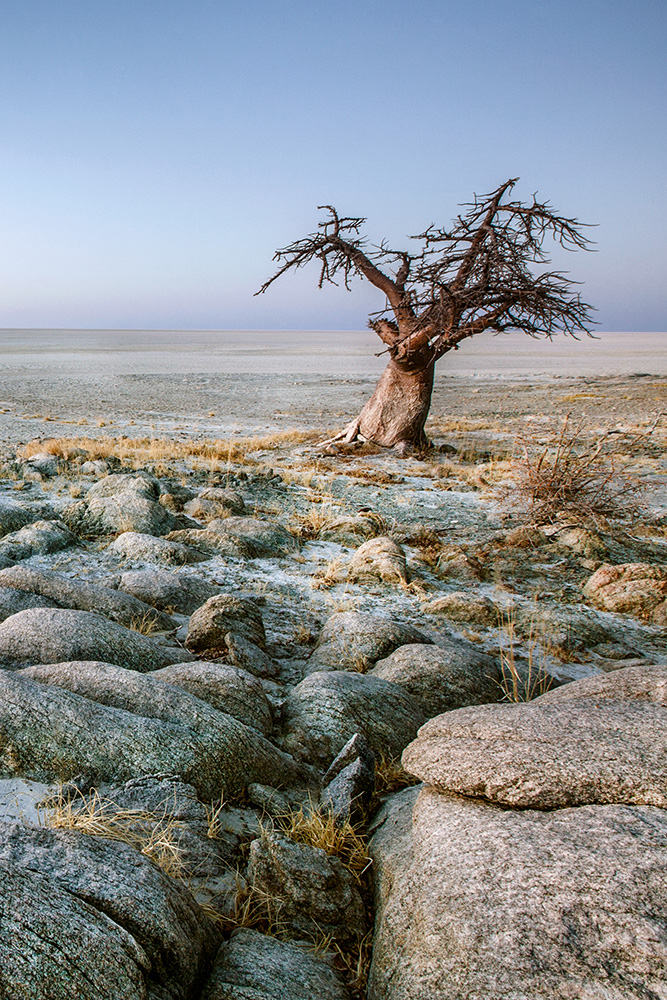 Direction Maun et la région des Makgadikgadi