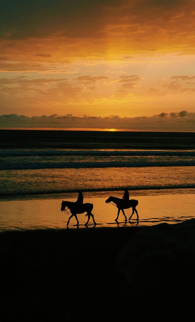 Excursion et balade à Essaouira