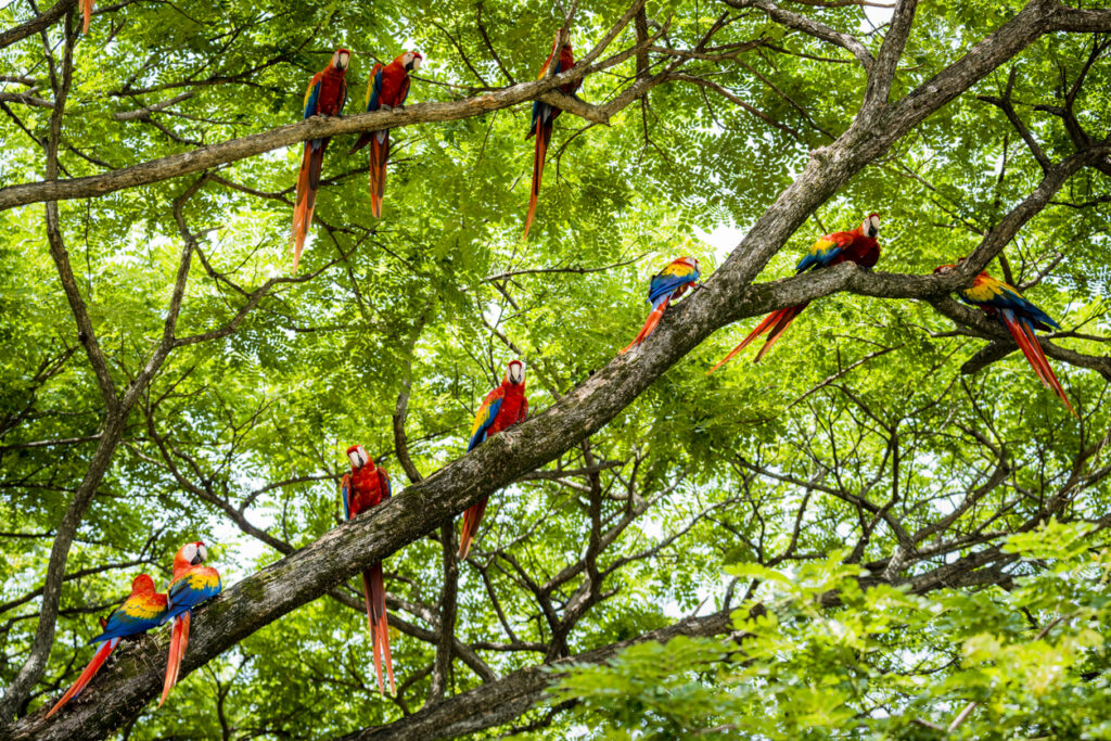 Costa Rica