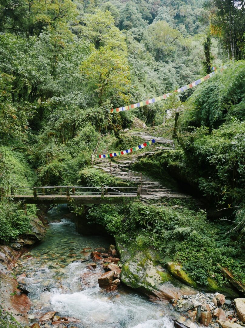 Landruk – Majhgaon