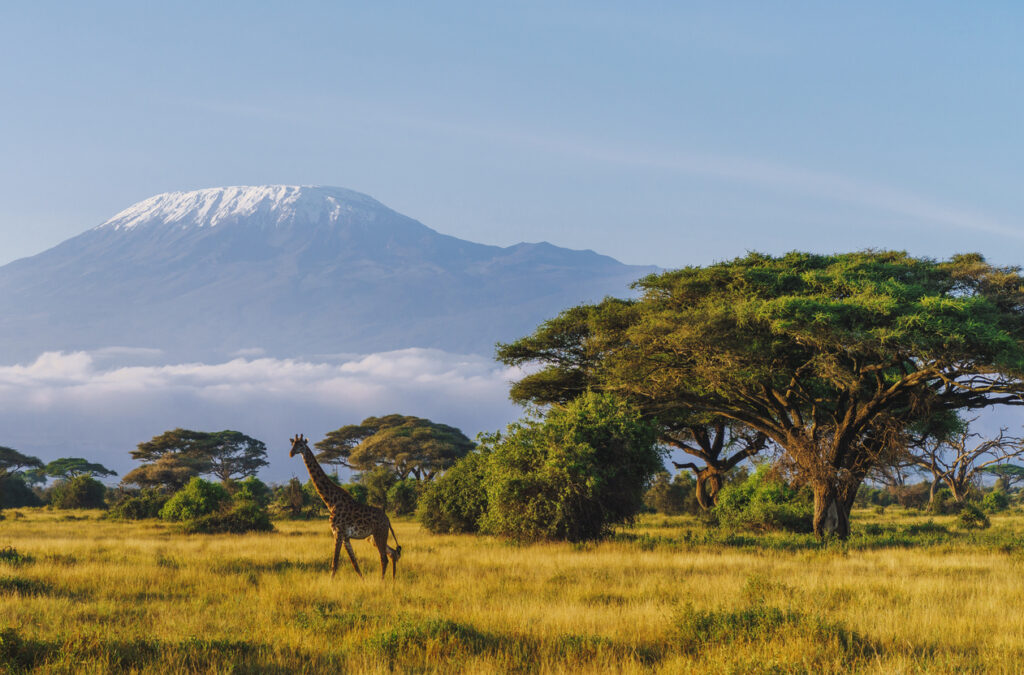 Tanzanie