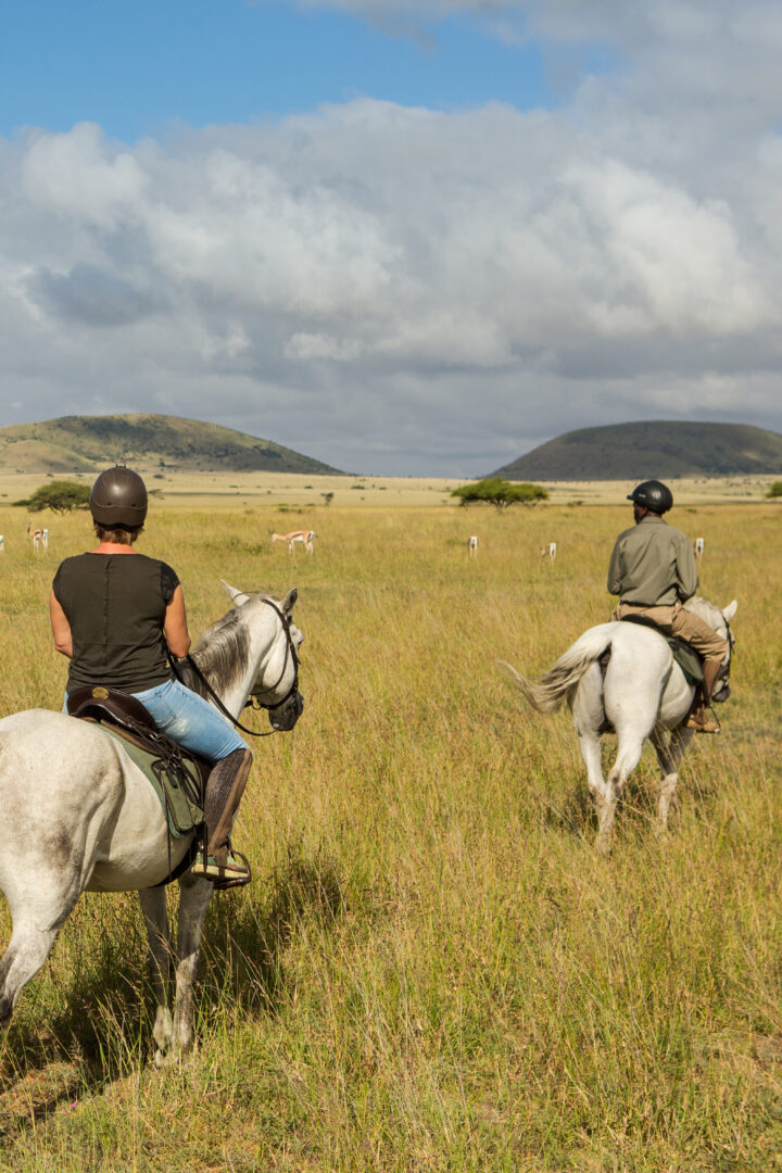 Parenthèse dans la réserve de Laikipia