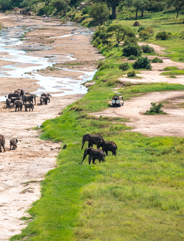Première étape : le parc national de Tarangire