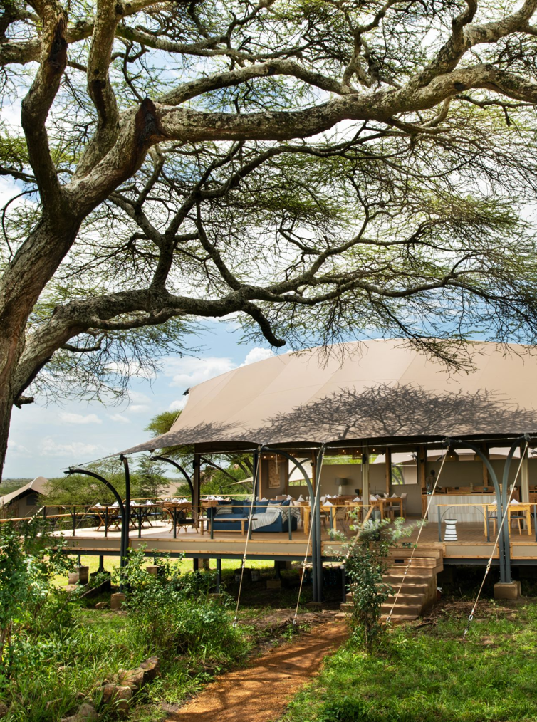 Serengeti : La savane comme horizon