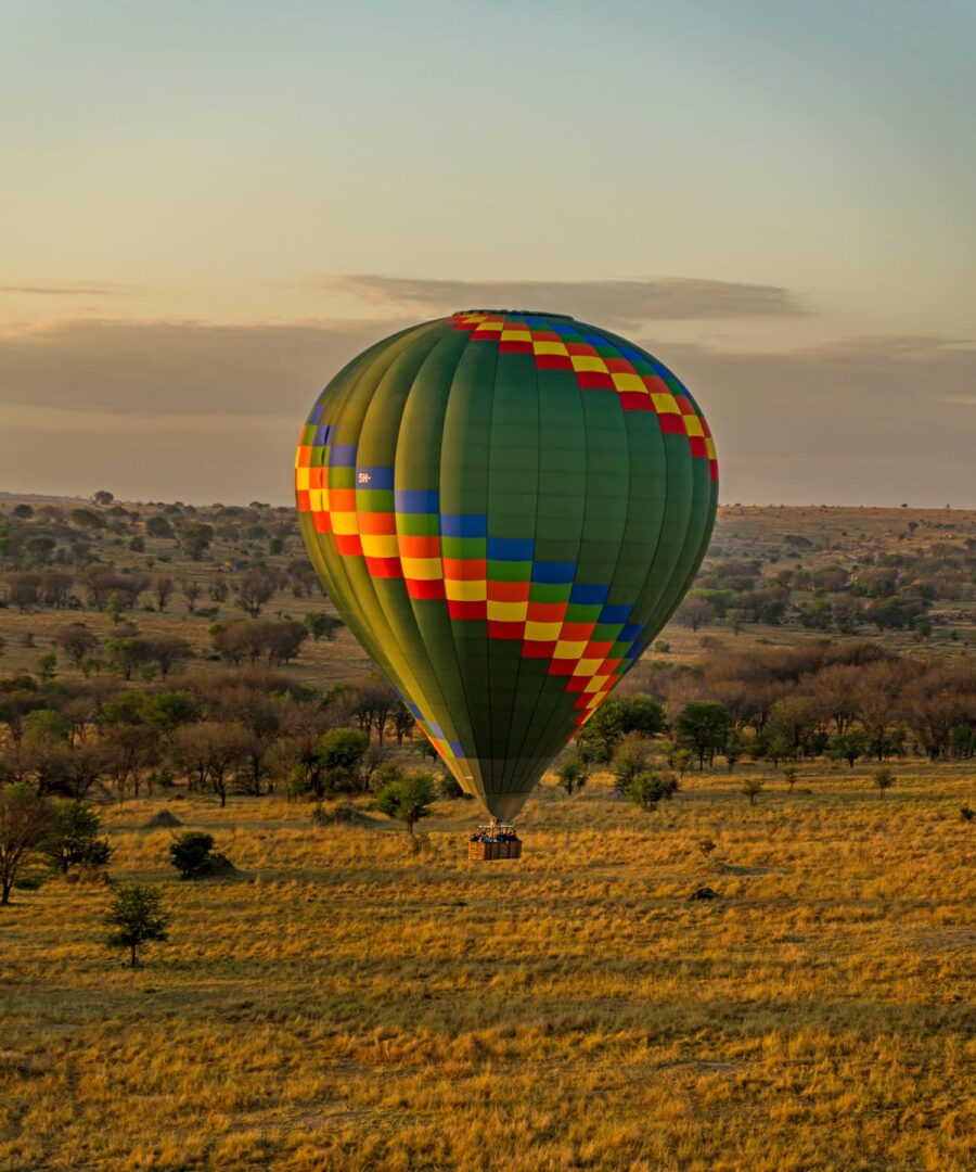 Serengeti : Voyage au cœur du vivant
