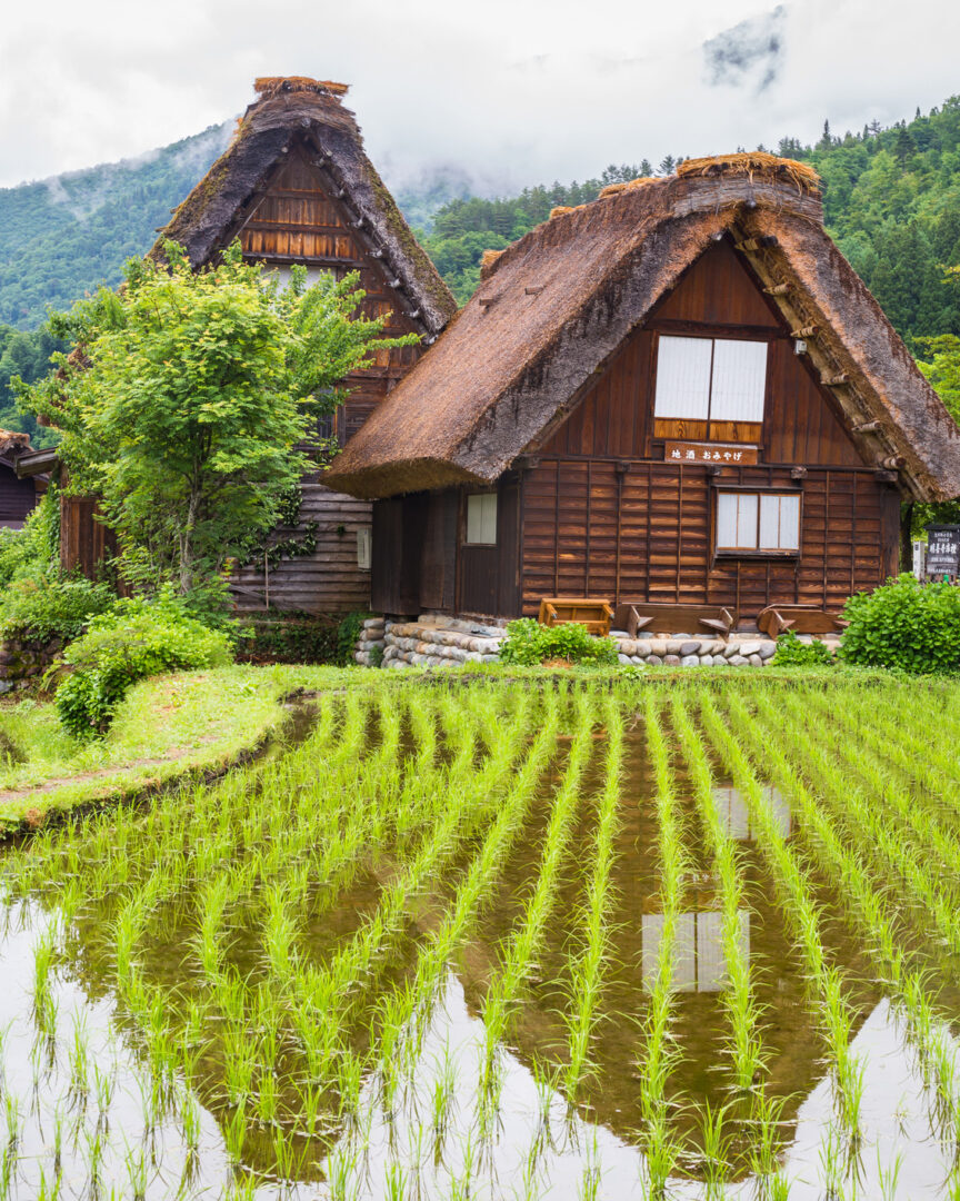 Shirakawa-go : Douceur d’un village au pied des montagnes