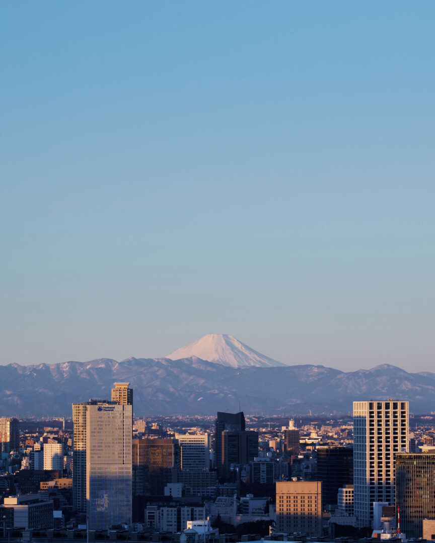Tokyo : Là où les temples croisent les gratte-ciel