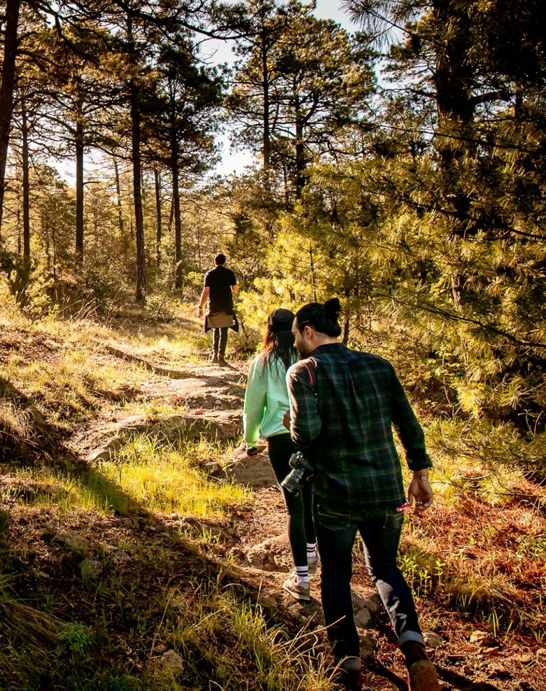 Creel : Forêts de pins et sources cachées