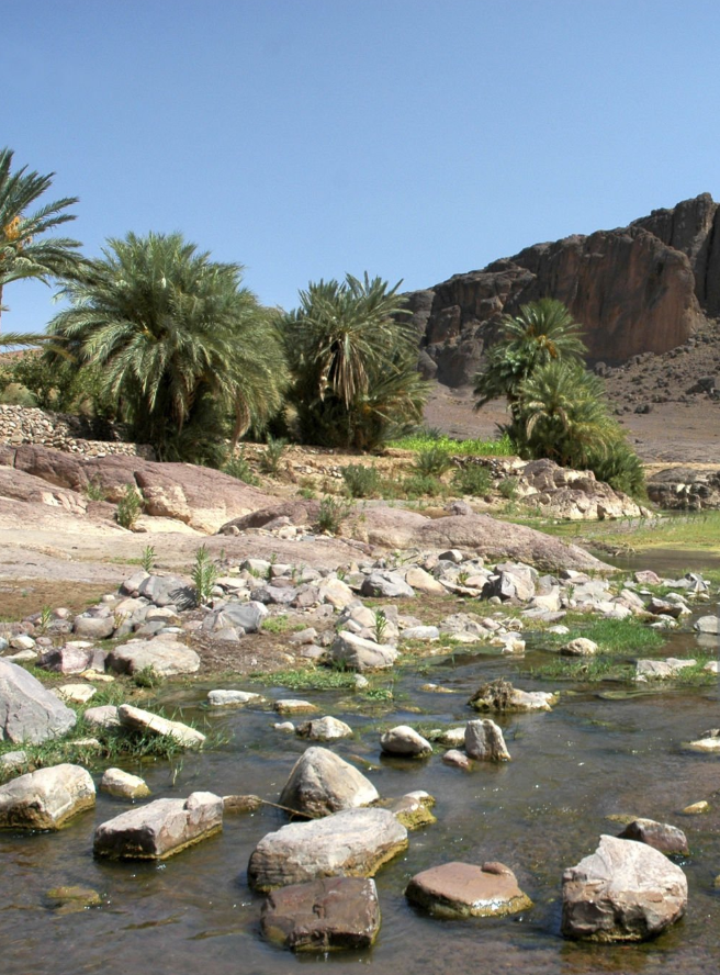 Foum Zguid : traversée minérale et escale au bord de l’oasis