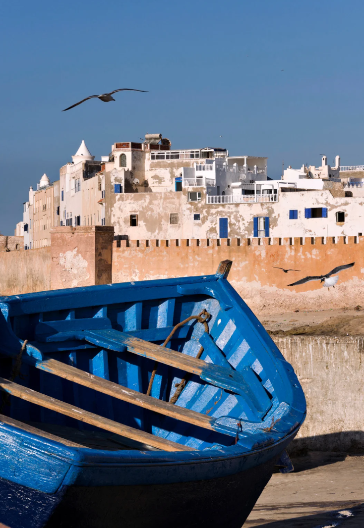 Visite guidée à Essaouira