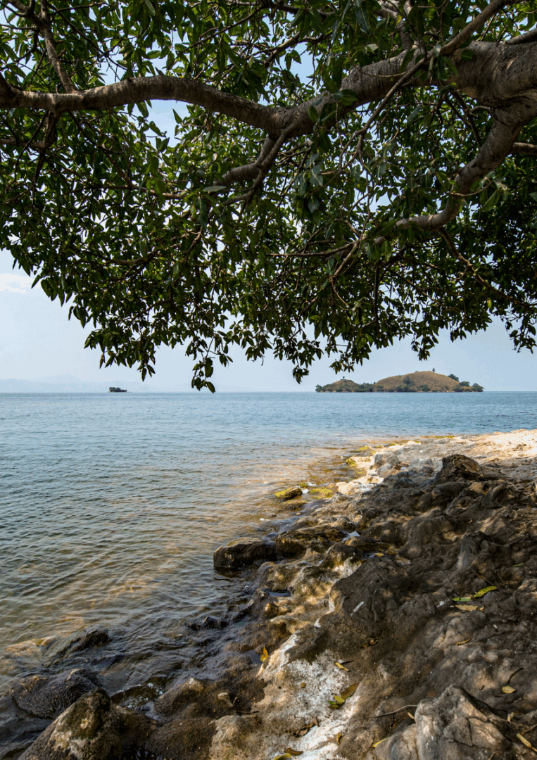 Découverte des alentours du lac Kivu