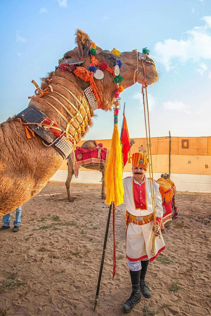 À dos de dromadaire dans les dunes de Sam