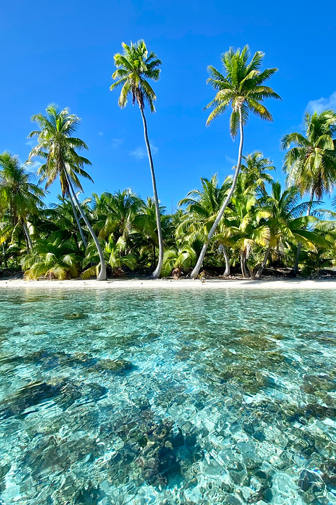 Raiatea : Retour sur l’île sacrée