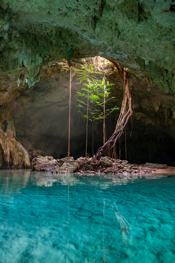 Baignade dans les cenotes