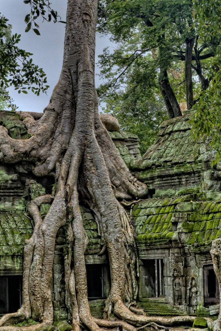 Visite de temples à Siem Reap