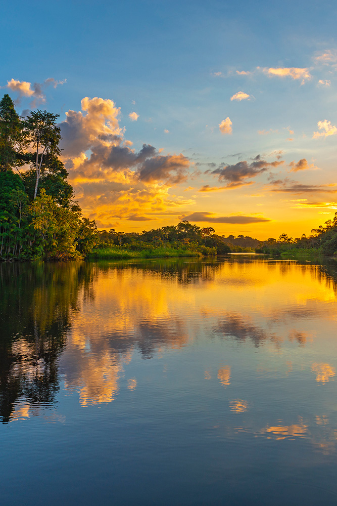 Immersion en Amazonie