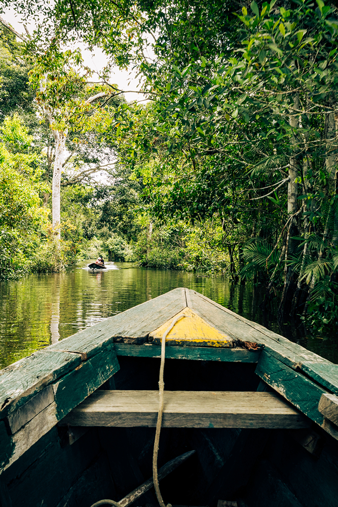 A bord d'une pirogue en Amazonie