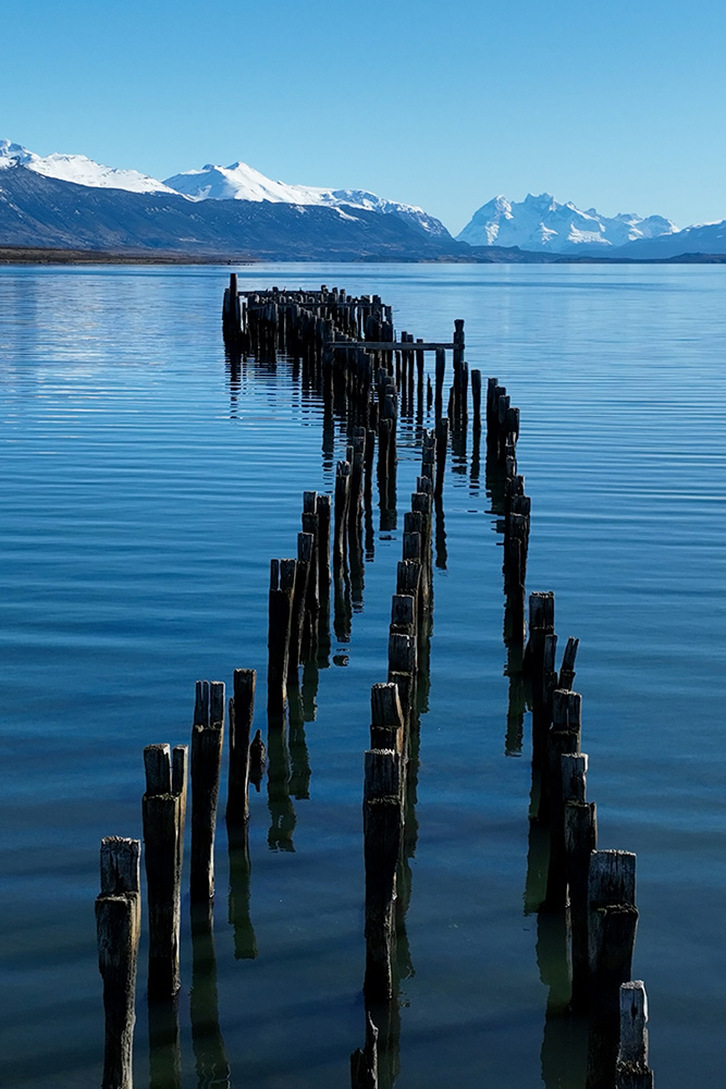 Arrivée en Patagonie à Puerto Natales