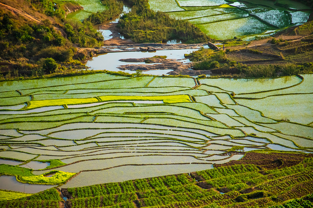 jour8-riziere-madagascar-continents-insolites-istock