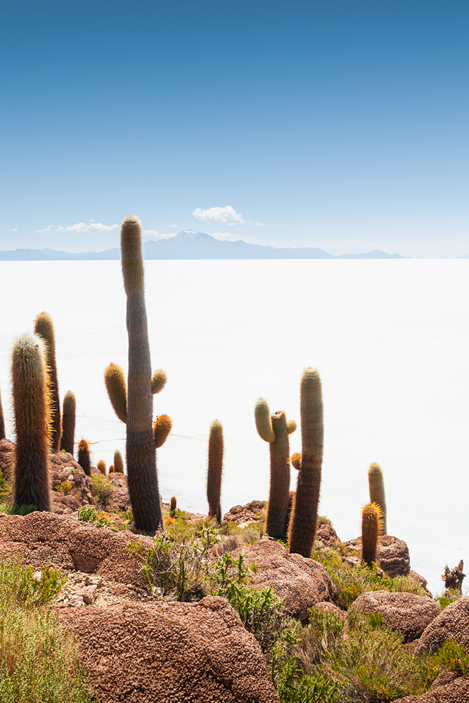 L'immensité du Salar d'Uyuni