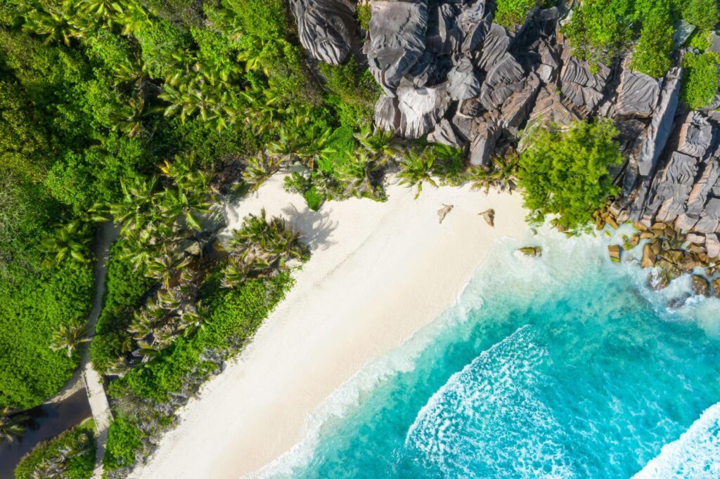 Paradis blancs