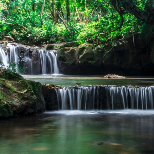 Nos expériences insolites à  l'île Maurice