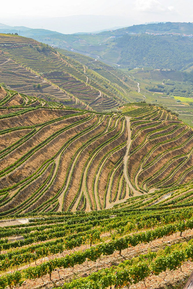 Vallée du Douro