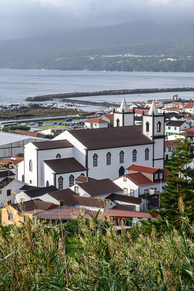Aux côtés d'un guide à Pico