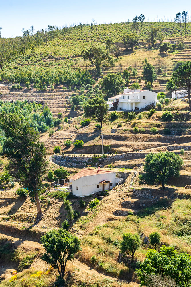 Découverte de la Serra de Monchique