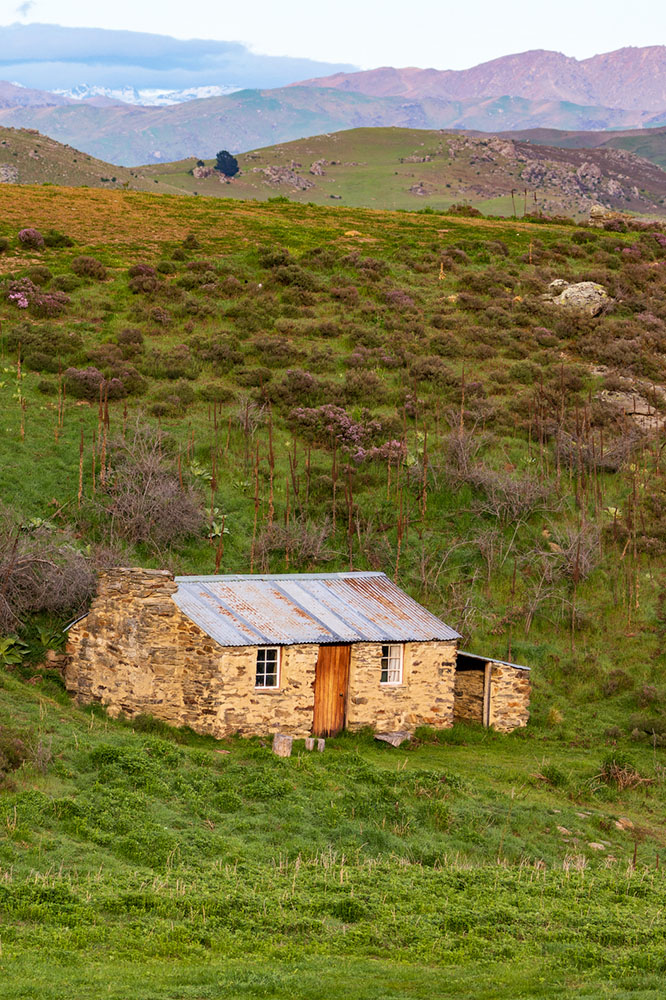 De Catlins à Ophir