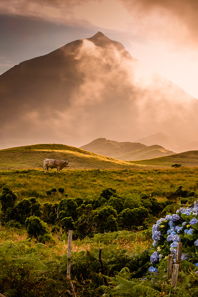 Direction les Açores