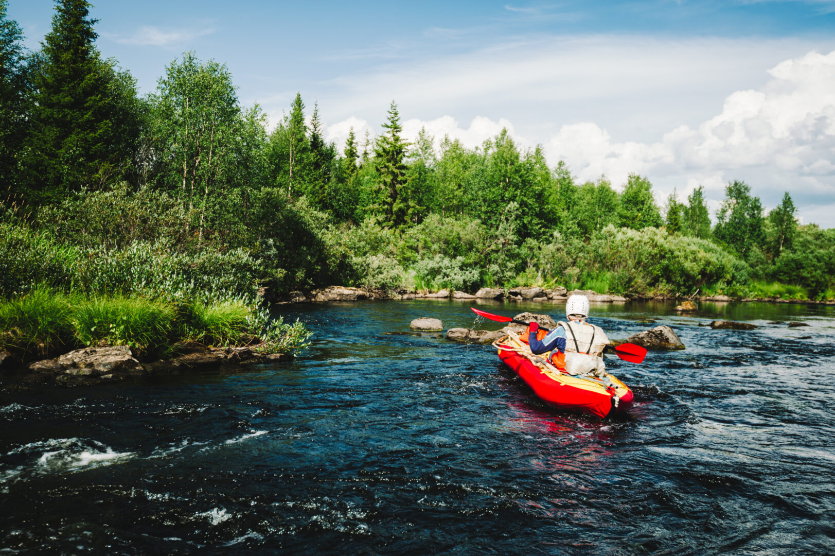 Aventures et nature au pays des ours