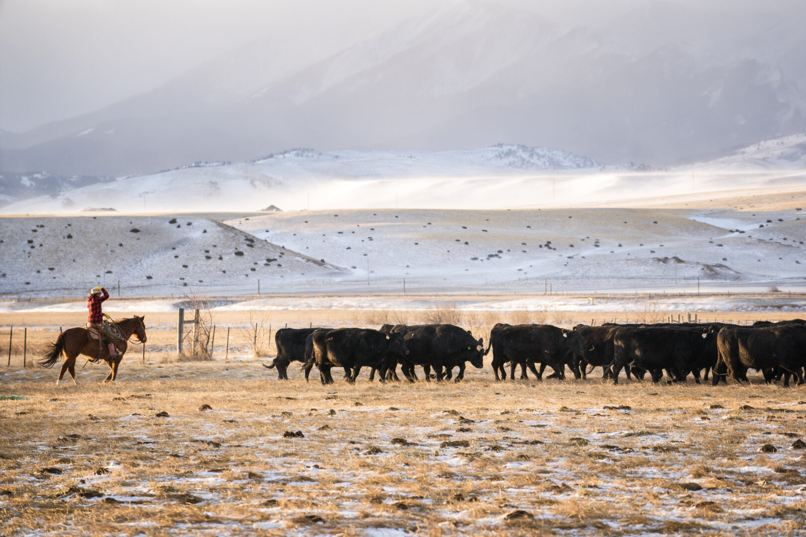 Grands espaces du Montana et du Wyoming