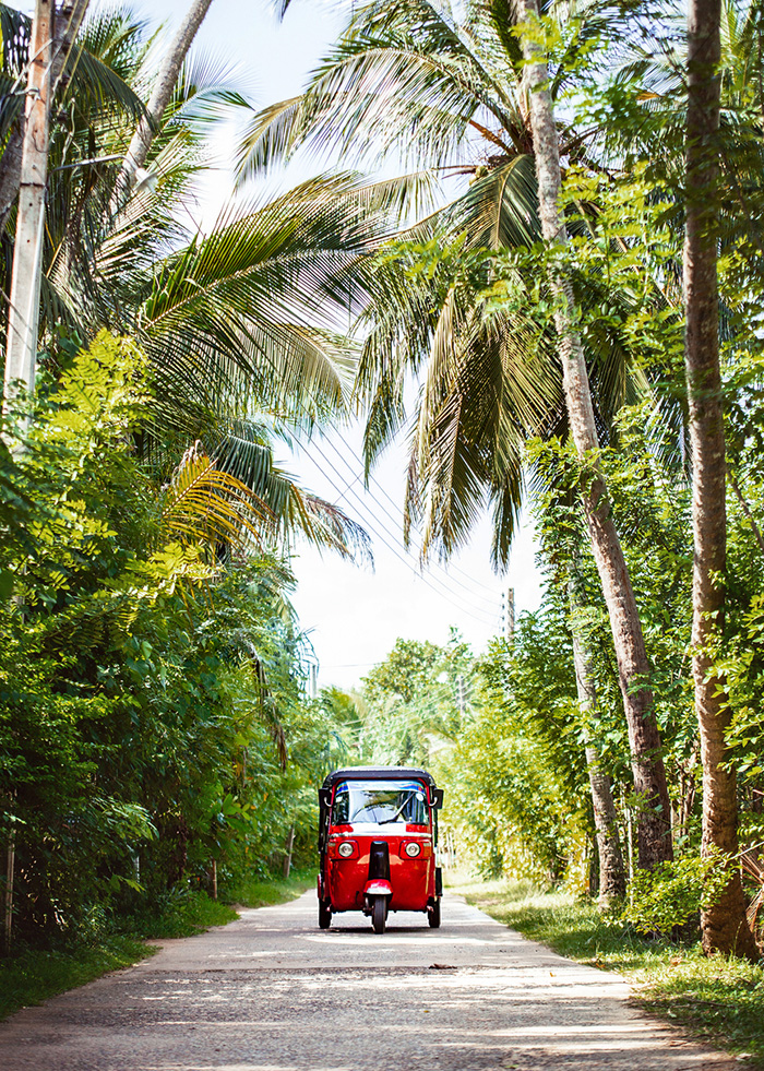 Balade en tuk-tuk au Sri Lanka