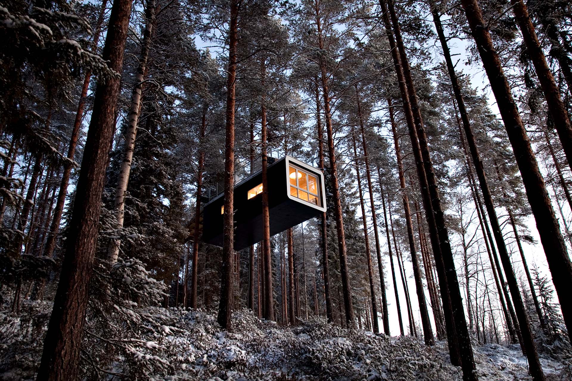 Treehouse hotel à Harads, Suède