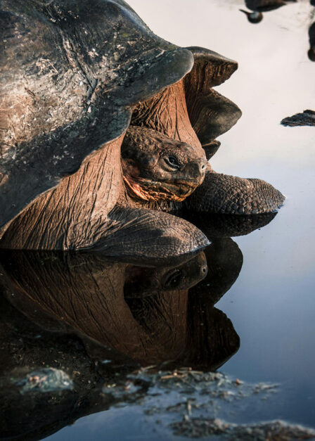 Voyage sur mesure en Equateur