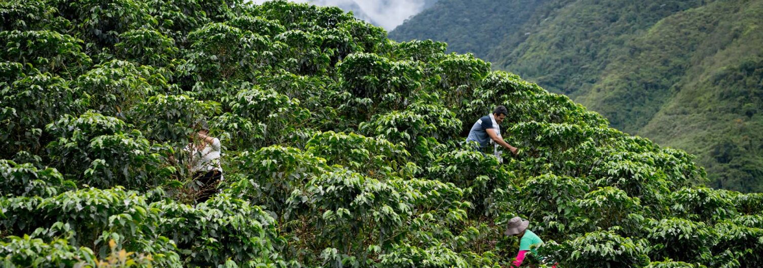 À la rencontre des locaux en Colombie