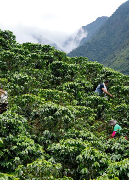 Voyage sur mesure en Colombie