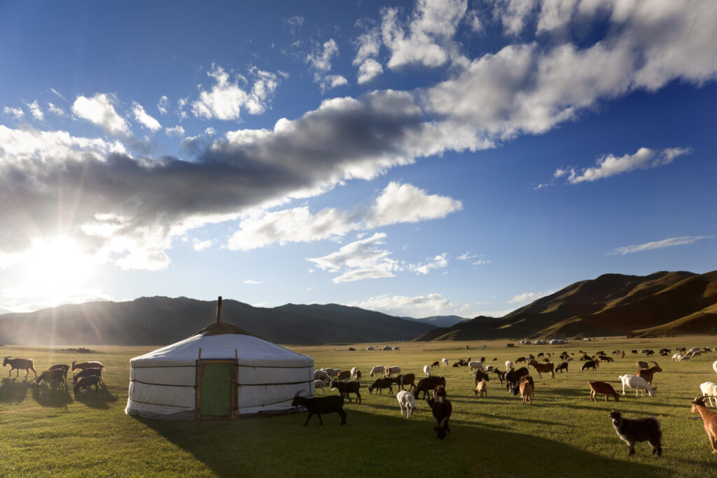 Mongolie