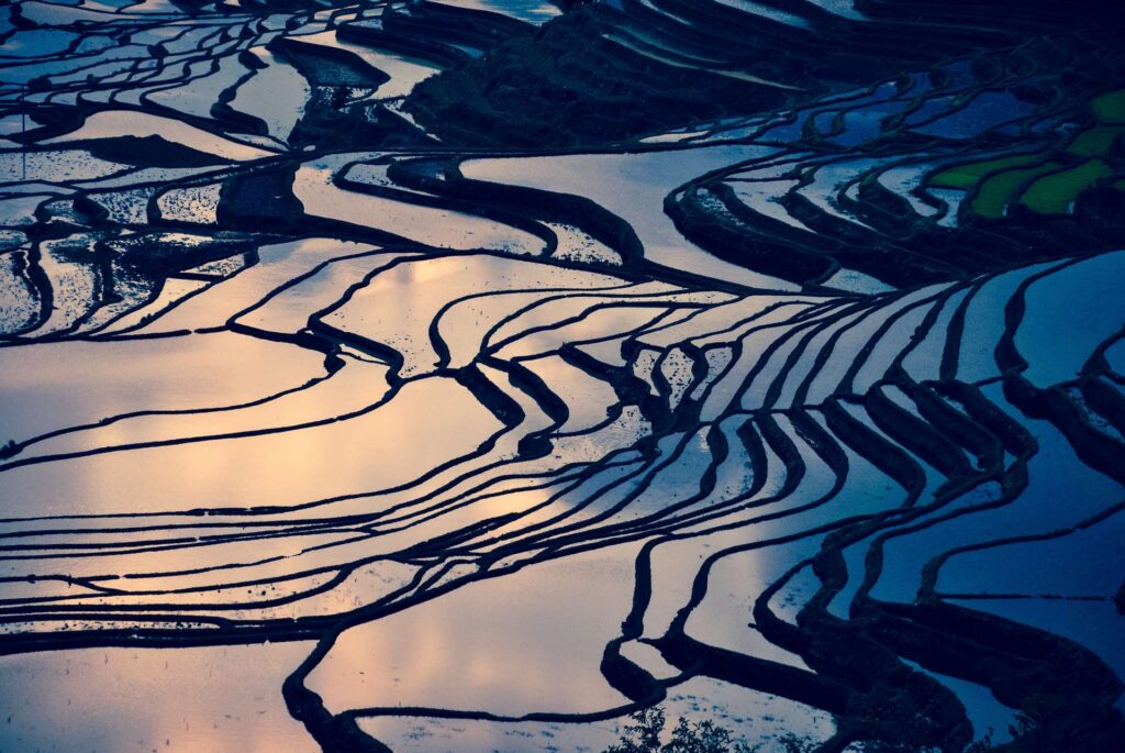 Chine