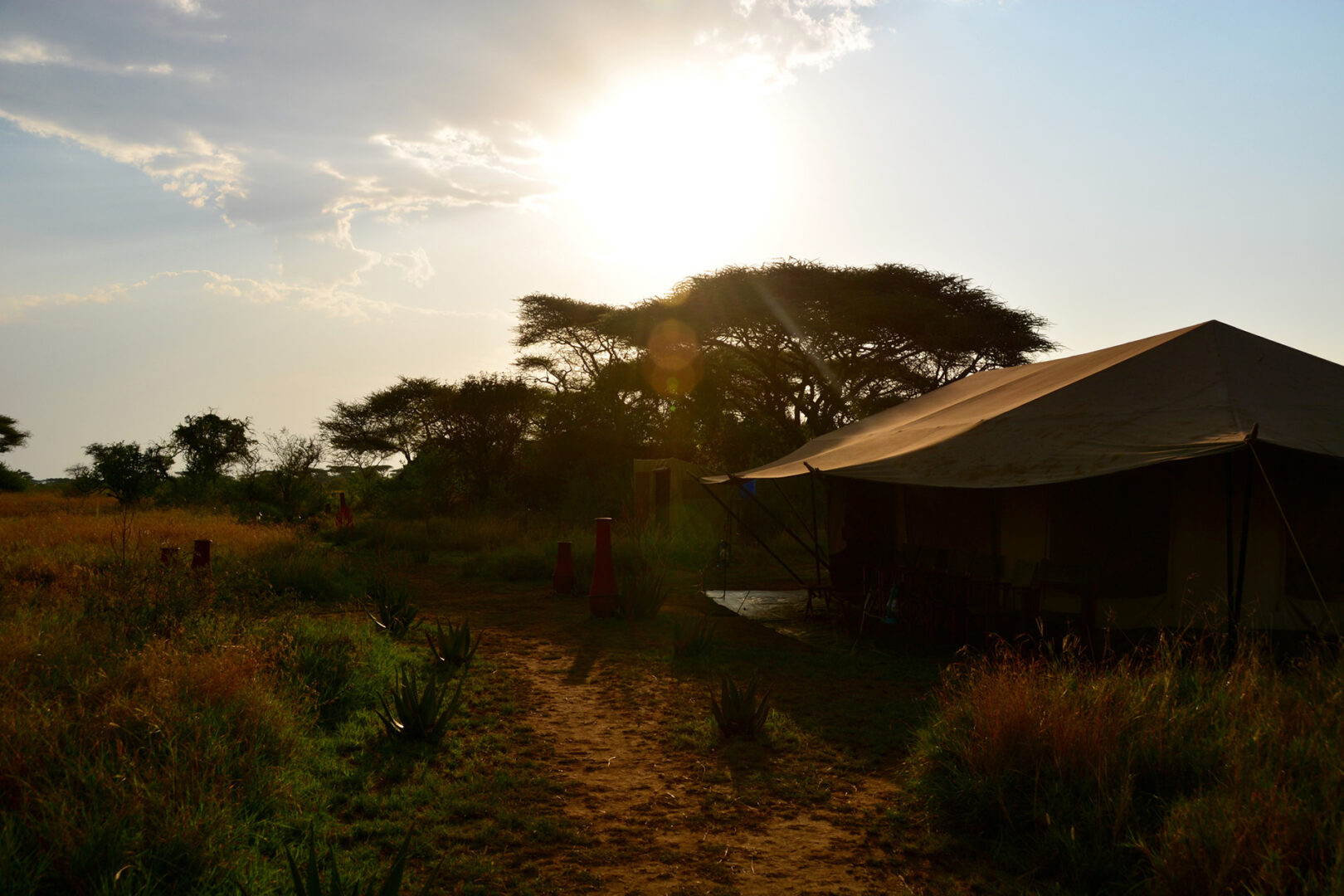 Camp mobile au cœur du Botswana
