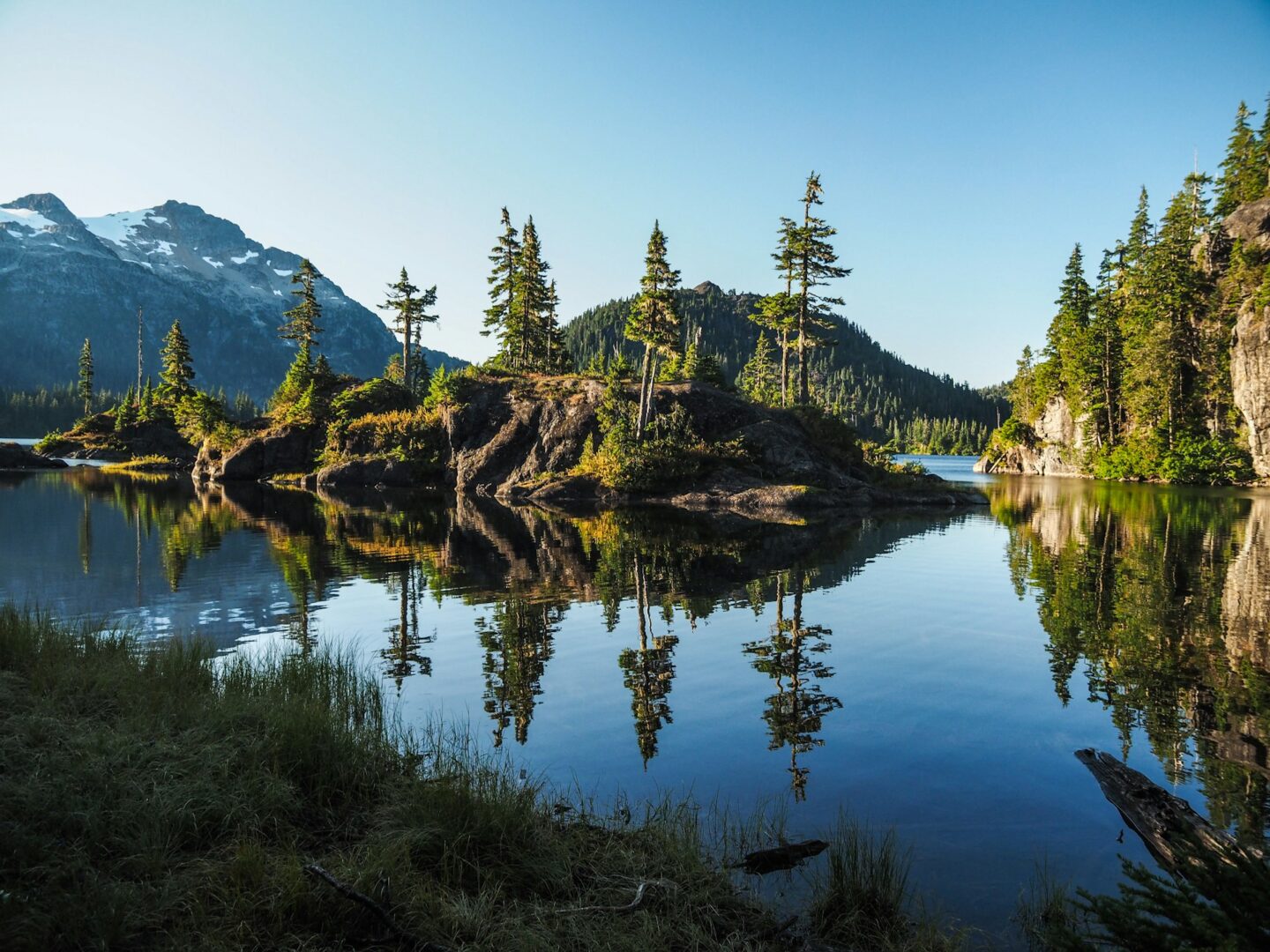 Safari sur Vancouver Island