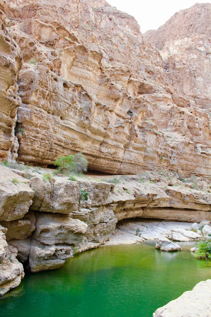 Mascate - Wadi Shab - Sur - Ras Al Hadd : Entre mer, nature et vieilles traditions