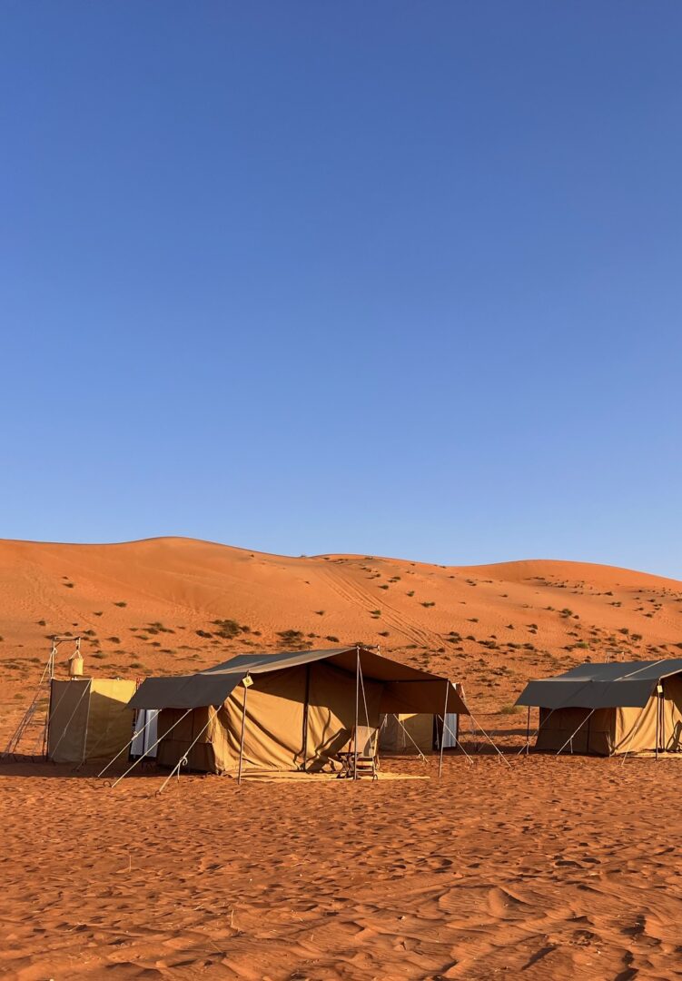 Dans le désert de Wahiba