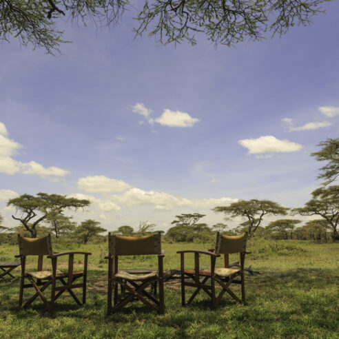 Afrique