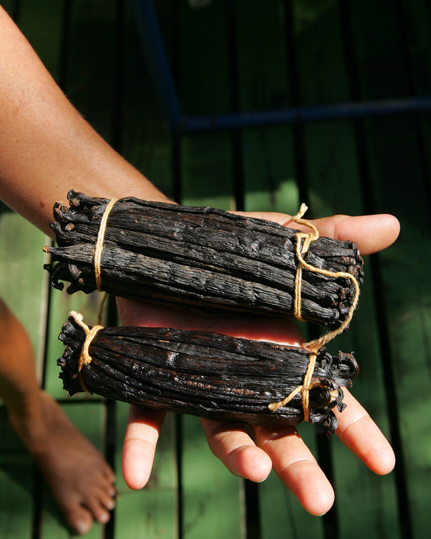 Papeete : Premiers parfums de Tahiti