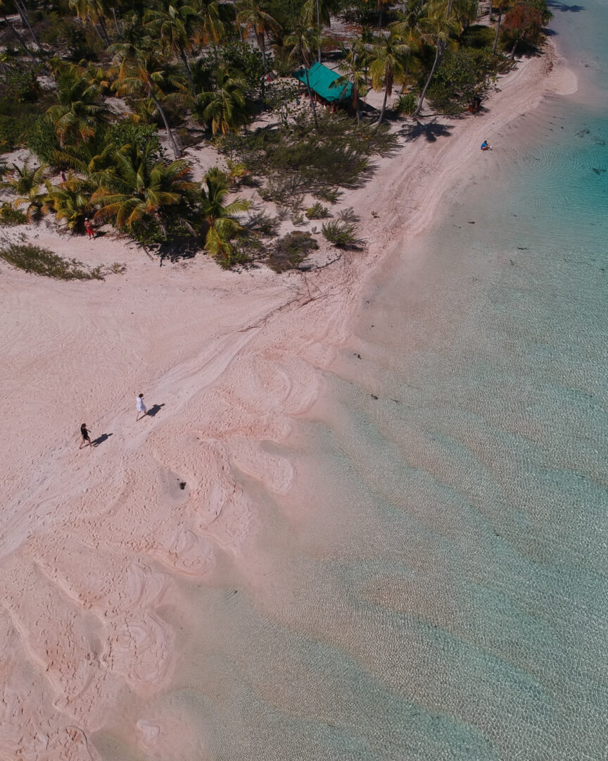 Tikehau : l’élégance d’un atoll aux plages roses