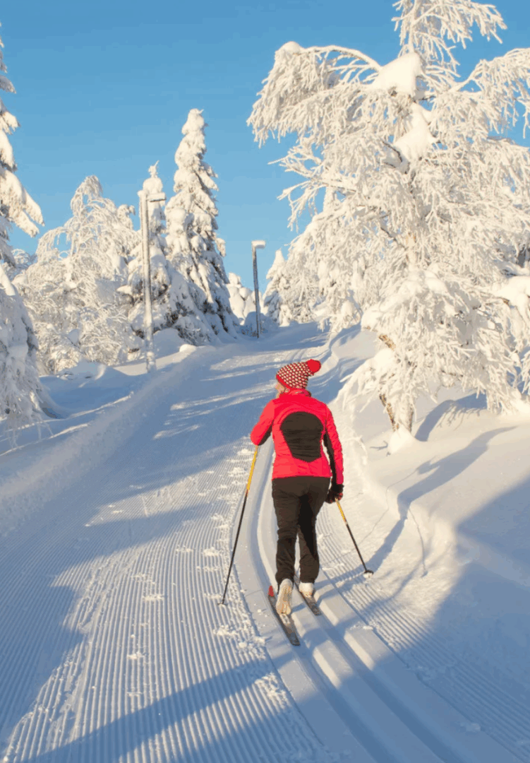 Québec : Détente nordique et aventure en forêt
