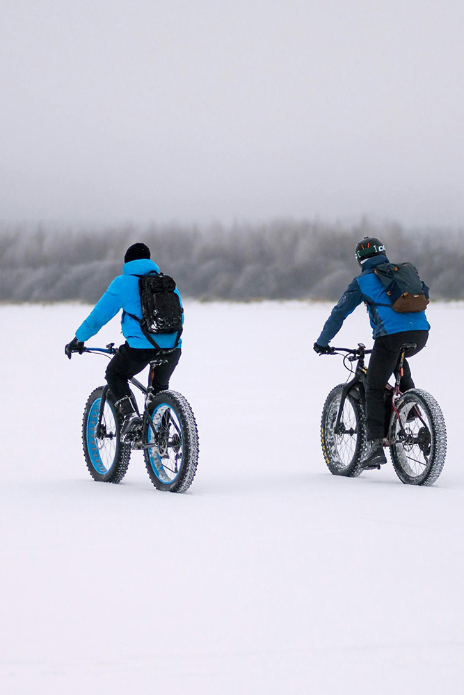 Rencontre avec les élans et balade en fat bike 